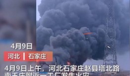媒体爆料白鹿事件视频大全,揭秘背后真相与争议